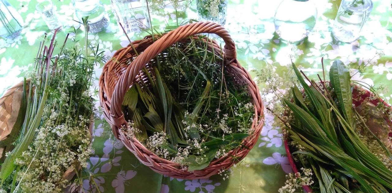Kräuterwanderungen
