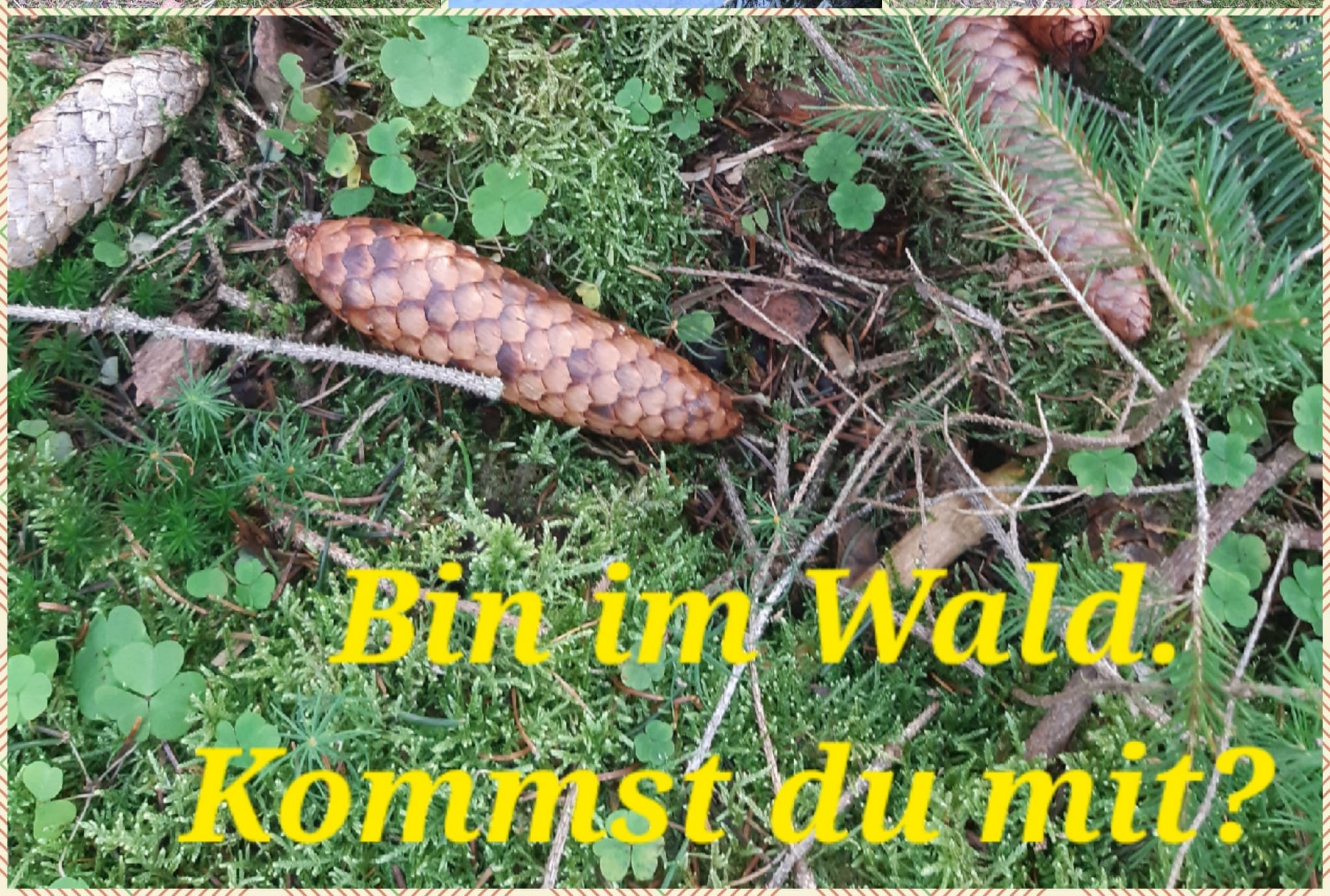 Waldbaden